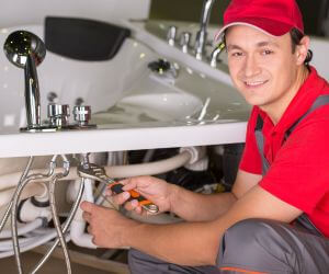 About Plumbers Pros Radiant, VA